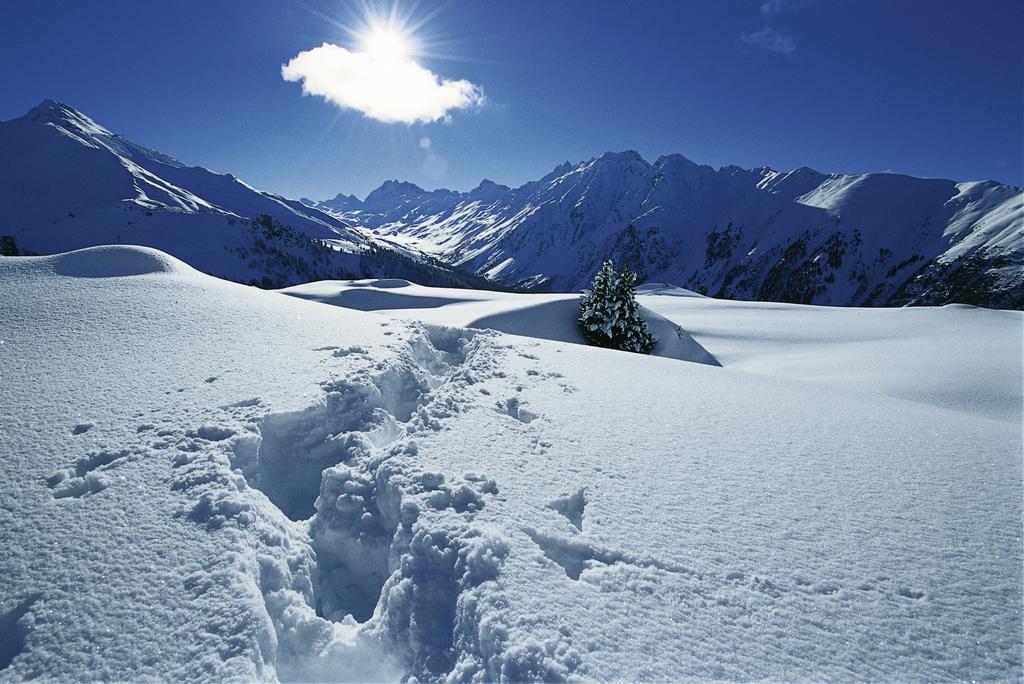 Silva Peak Residences Galtuer - Paznaun - Inkl Premium Silvretta Card المظهر الخارجي الصورة